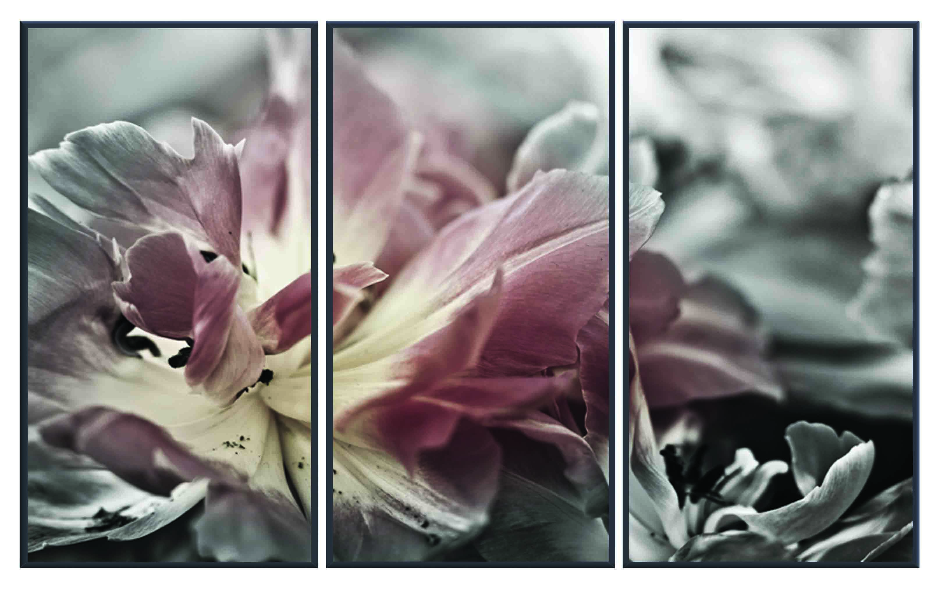 ASG438 Wall décor art printed on glass floral set of 3